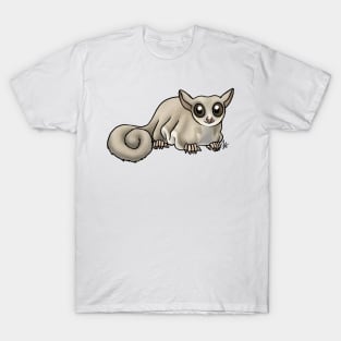 Mammal - Sugar Glider - White faced Lion T-Shirt